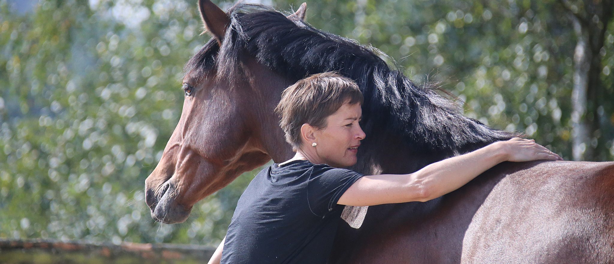 La Méthode la Cense Relation Homme Cheval Haras de La Cense