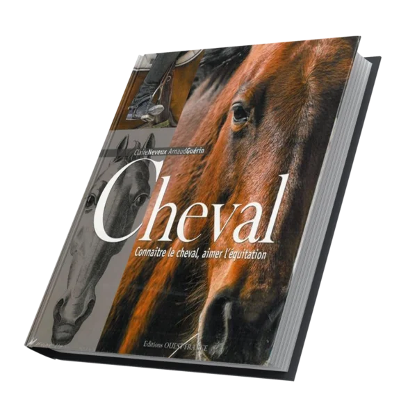 Connaitre le cheval, aimer l'équitation