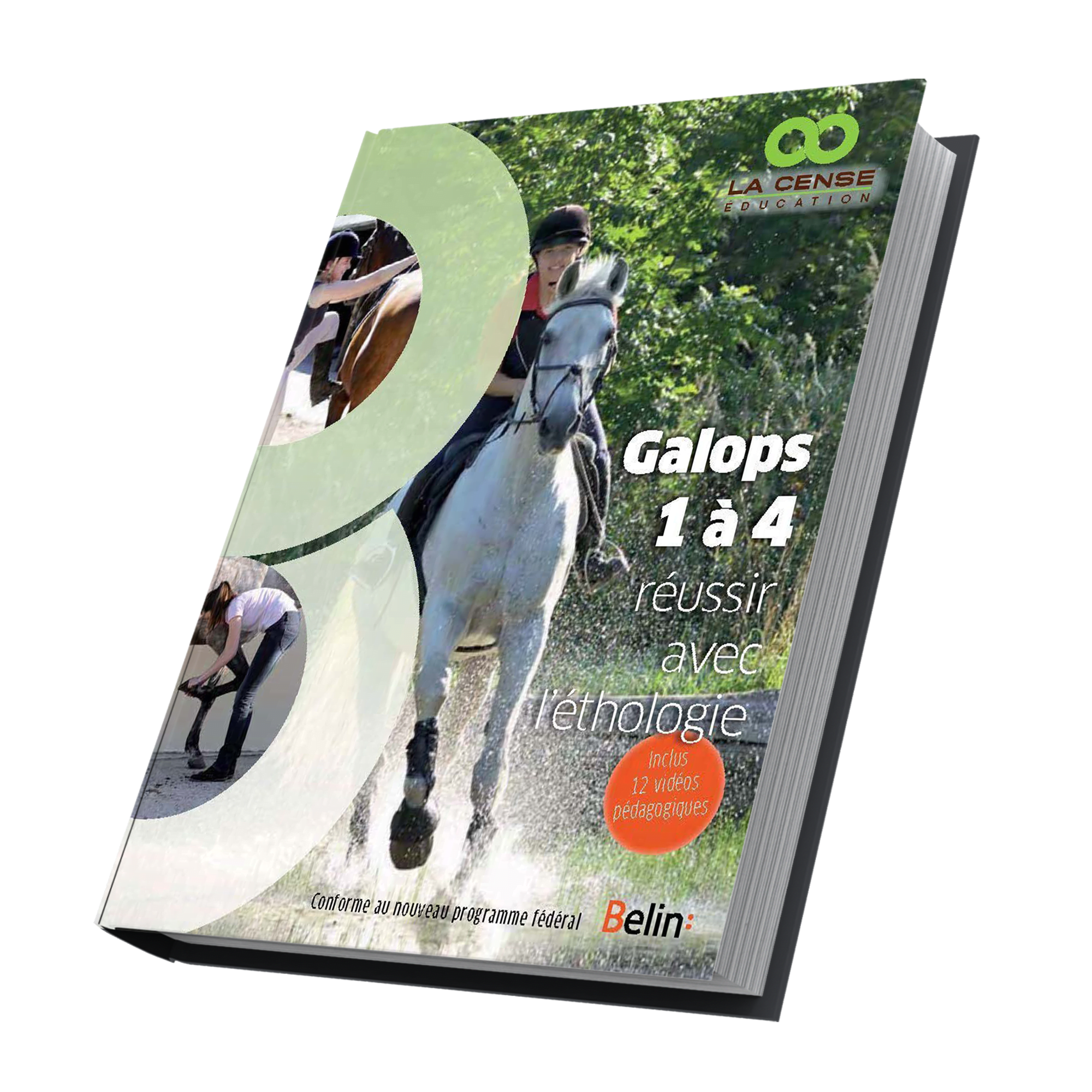 Livre Réussir ses galops 1 à 4 Cahier d'exercices Belin - Livre équitation  - Belin - Le Paturon