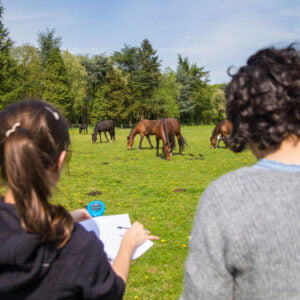 Expérience Éthologie et observation du cheval