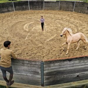 Expérience Chuchoteurs