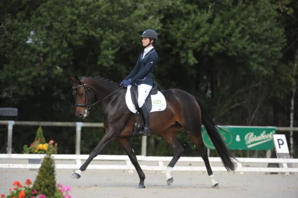 Stage Éducation & Dressage – Image 7