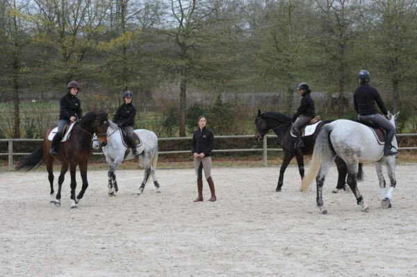 Stage Éducation & Dressage – Image 9