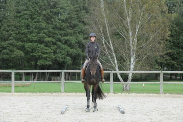 Stage Éducation & Dressage – Image 12