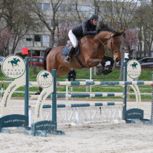 Stage Éducation & Saut d’obstacles