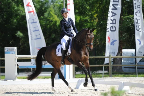 Stage Éducation & Dressage – Image 6