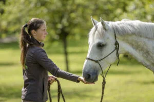 Haras de la Cense : utiliser le cheval tout en respectant sa nature