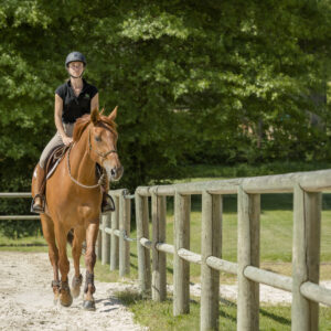 Méthode la Cense en ligne - Education montée