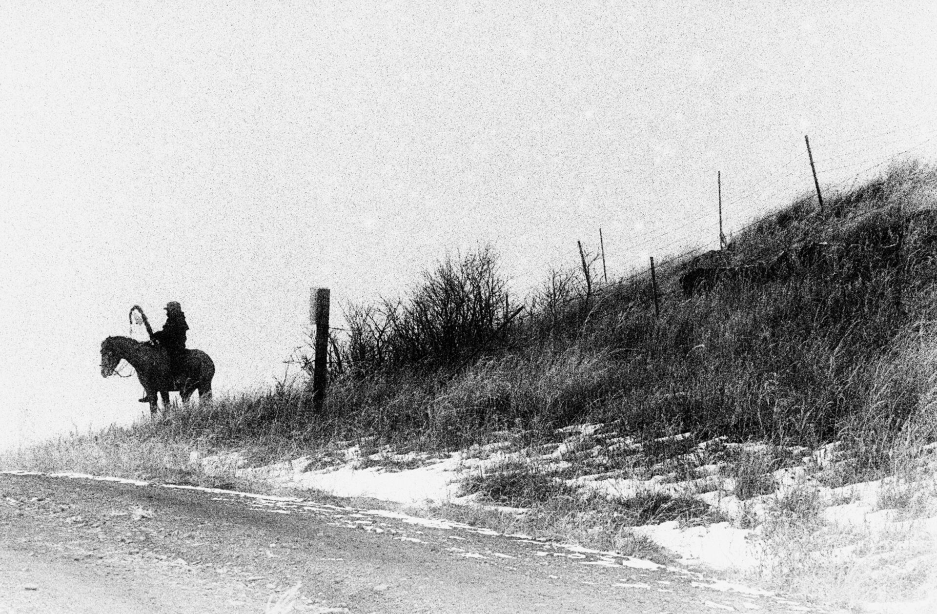 Aux ombres – Image 3