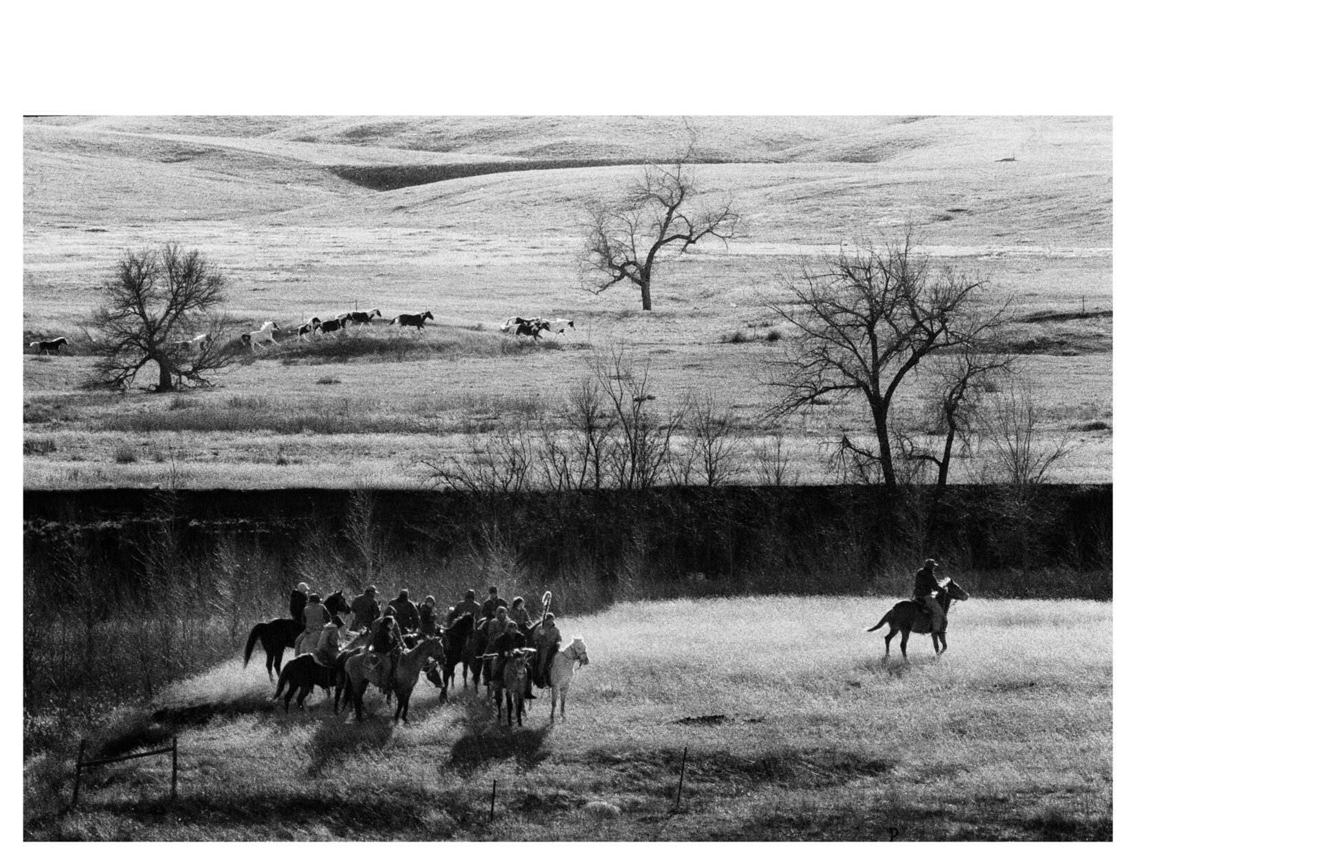 Aux ombres – Image 2