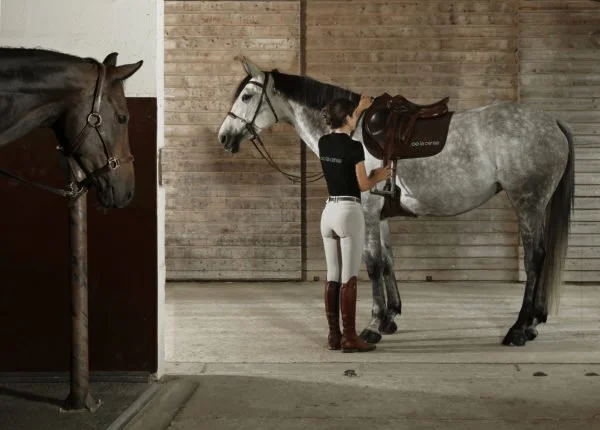 la cense x tacante saddle pad 1