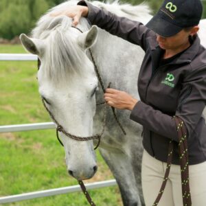 Expérience Découverte