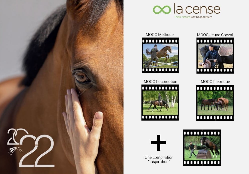 avantages licence ffe 2022