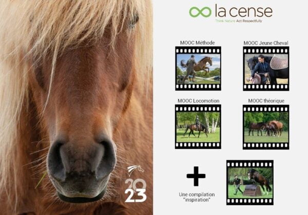 Vidéos licenciés FFE