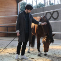 equicoaching equicoaching