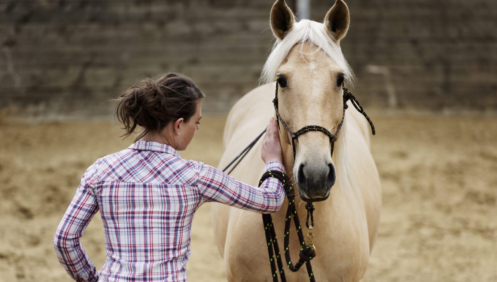 Haras La Cense 1851_DxO