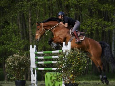 Haras La Cense 3051_DxO