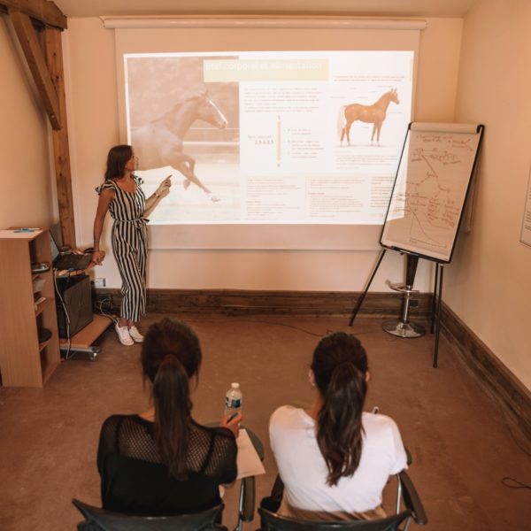 projet Diplôme Éthologie et Sciences Équines projet Diplôme Éthologie et Sciences Équines