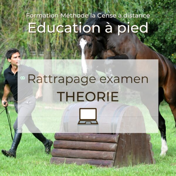 Education à pied - Rattrapage théorie