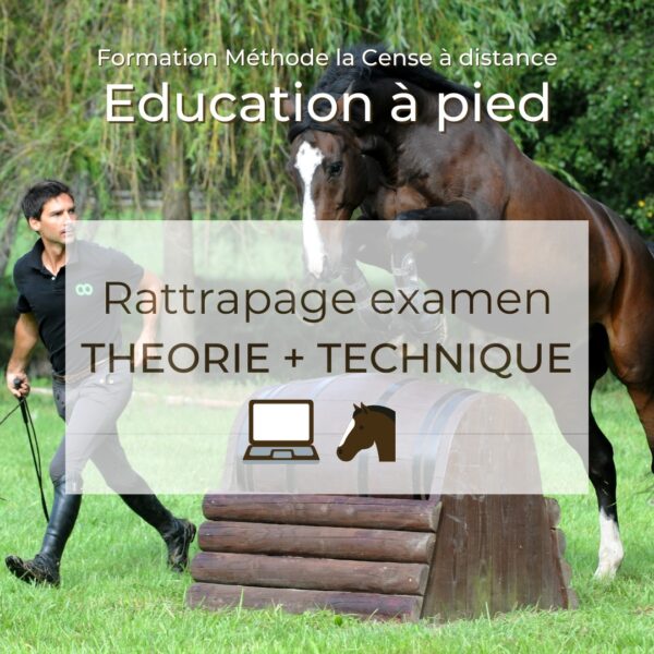 Education à pied - Rattrapage théorie et technique