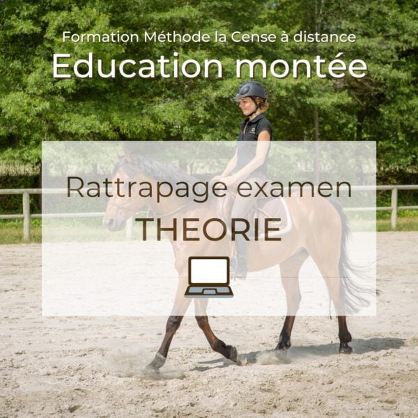 Education montée - Rattrapage théorie
