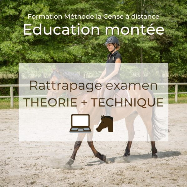 Education montée - Rattrapage théorie et technique