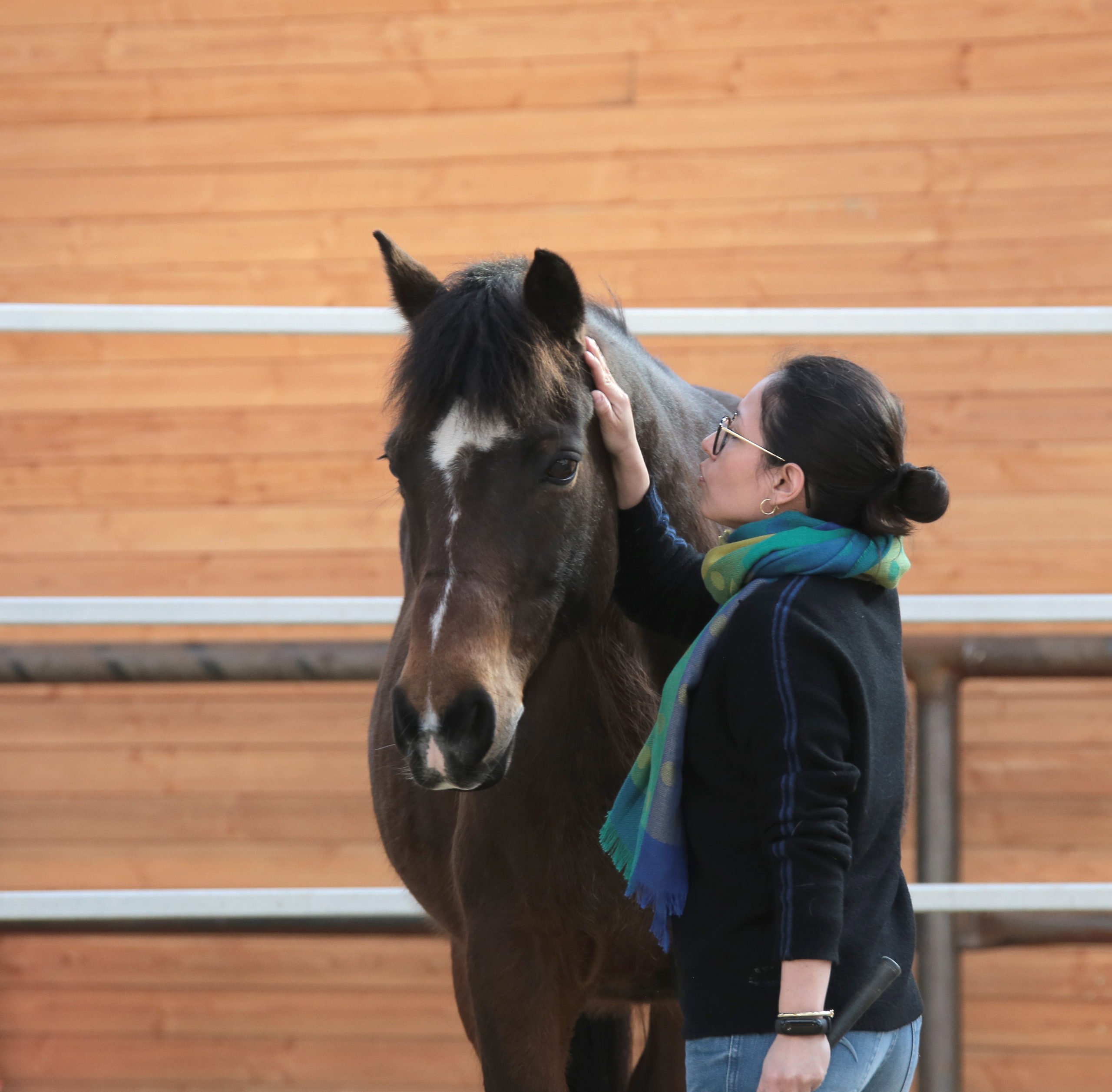 equicoaching
