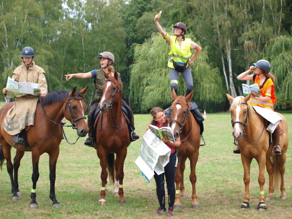 formation tourisme équestre