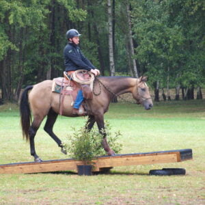 Stage Mountain Trail