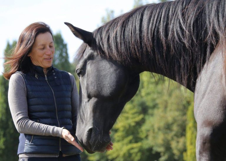 prendre soin de mon cheval 1