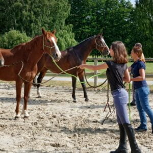 Stage Education à pied